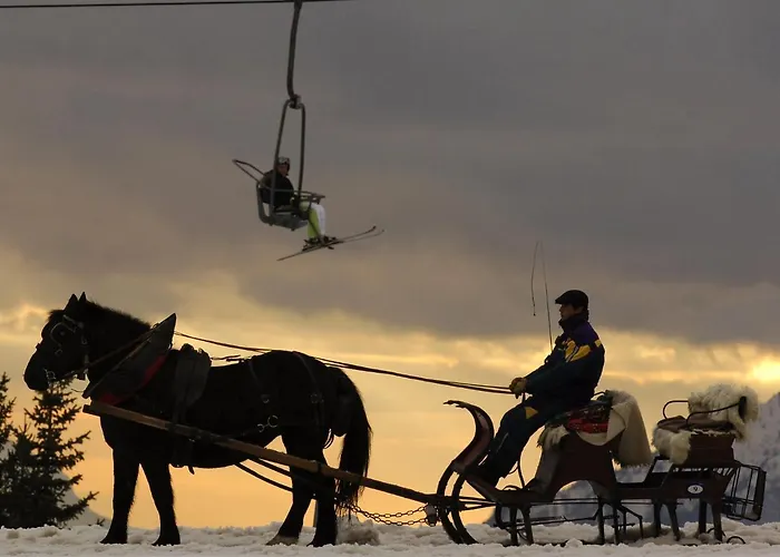 Des Dromonts By Sowell Collection Hotel